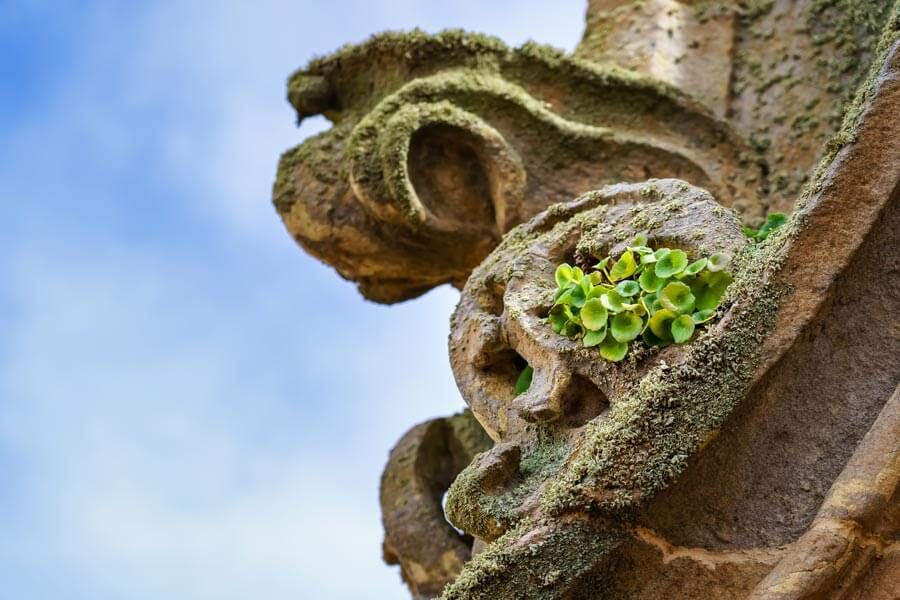 Detalle ornamentación patrimonio Salamanca