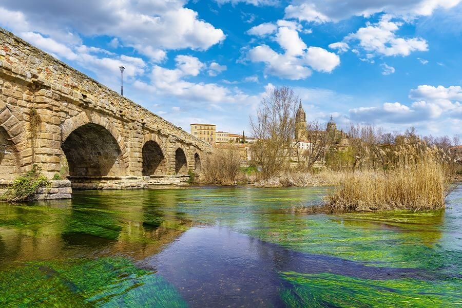 Puente Romano Salamanca