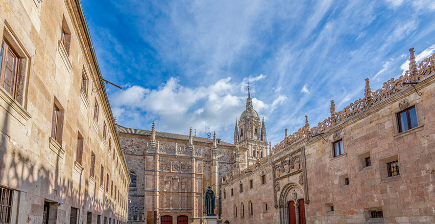 Detalle Universidad y Catedral de Salamanca